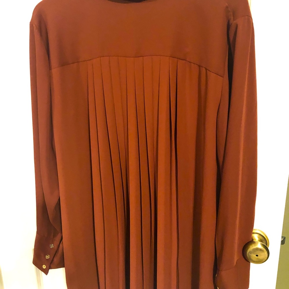Chico’s beautiful pleated back blouse
